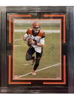 Picture Joe Burrow 16x20 C