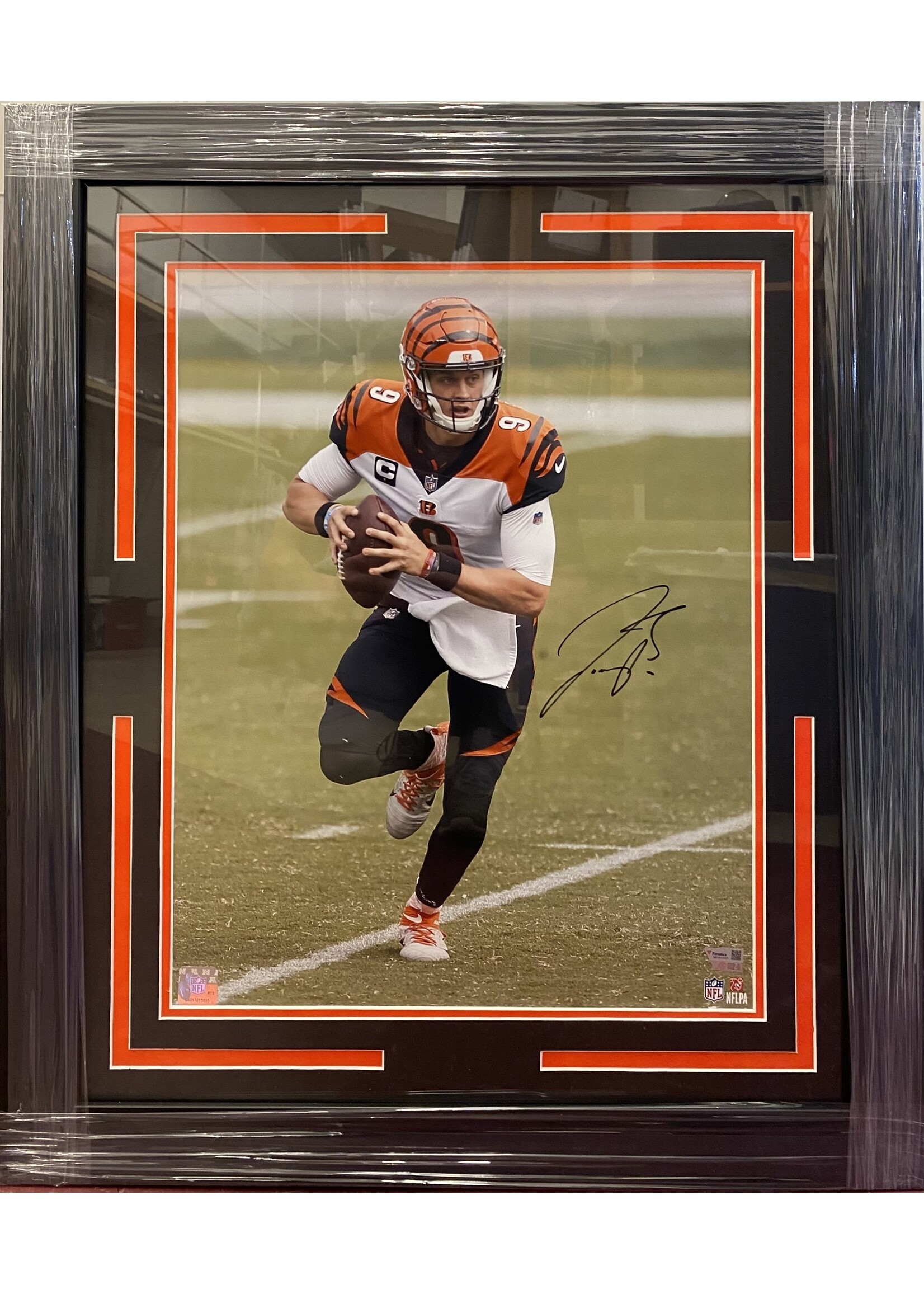 Picture Joe Burrow 16x20 C