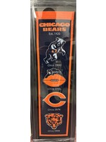 Pennant (F & UF) Bears Logo Banner