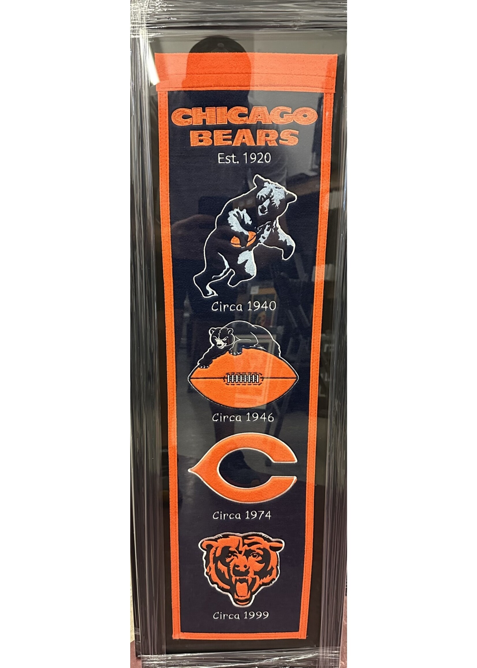 Pennant (F & UF) Bears Logo Banner