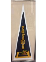 Pennant (F & UF) Disney World Pennant