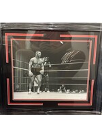 Mike Tyson Canvas 16x20 A