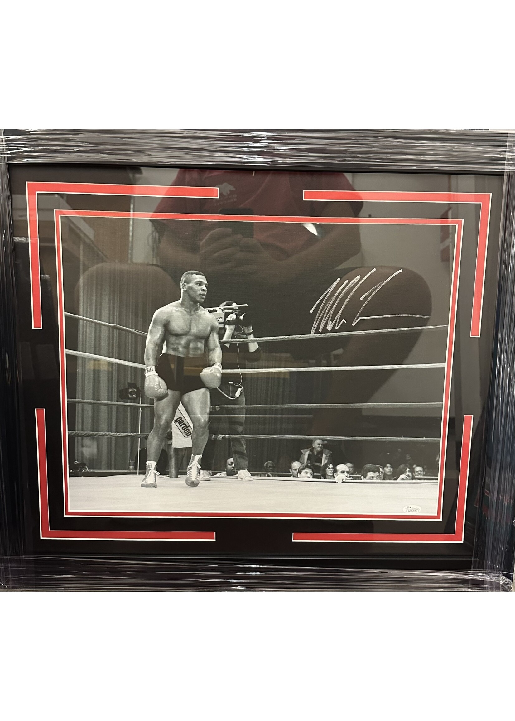 Mike Tyson Canvas 16x20 A