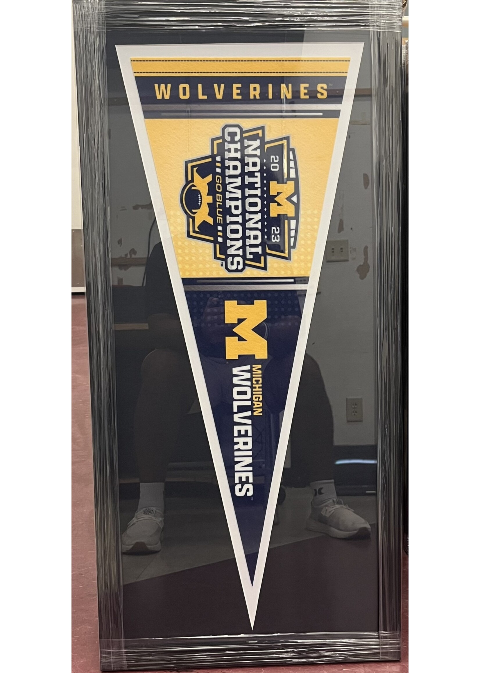 Michigan 2023 NC Pennant