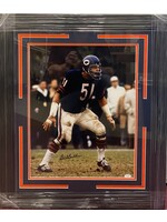 Picture Dick Butkus 16x20