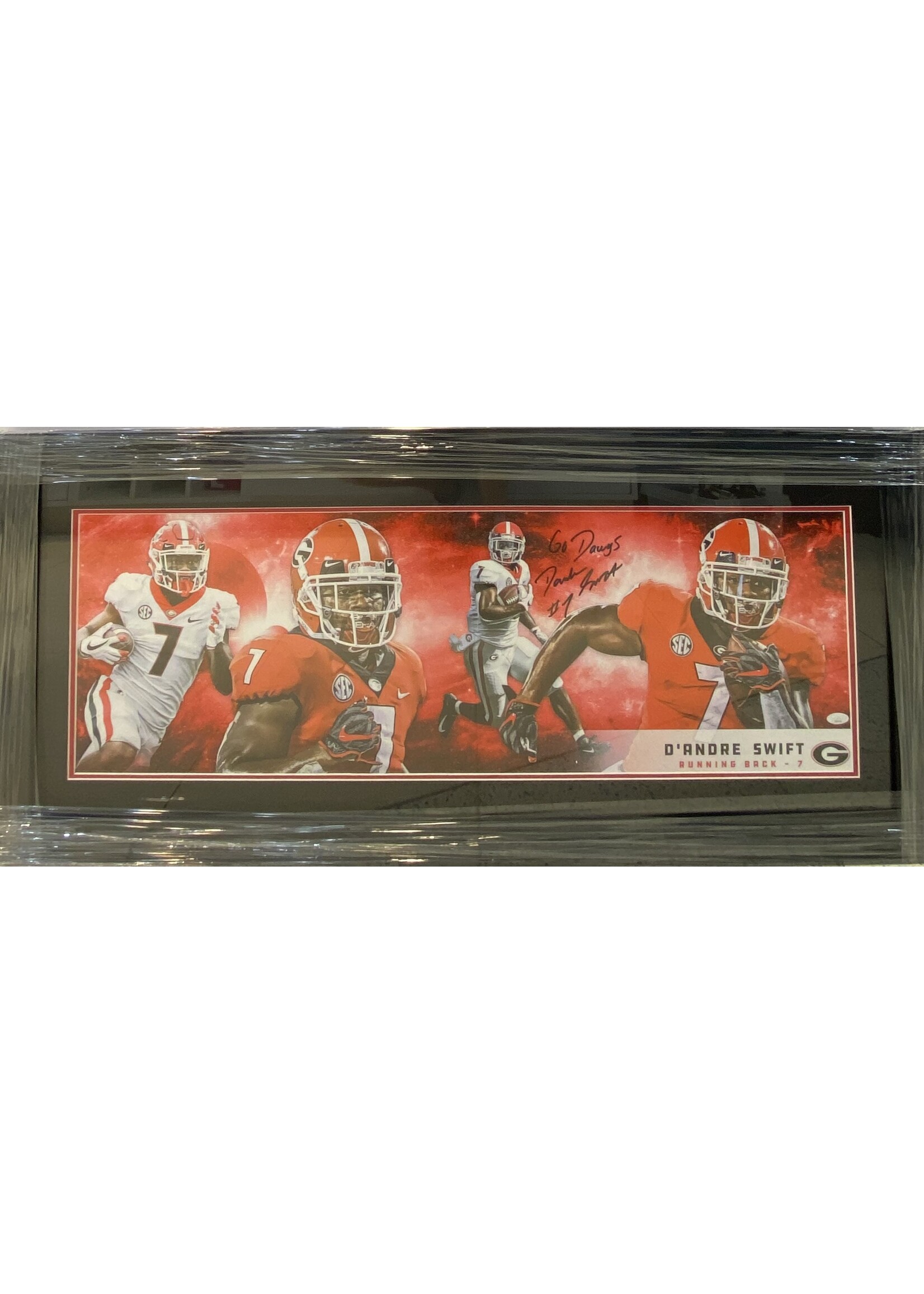 D'Andre Swift 12x36