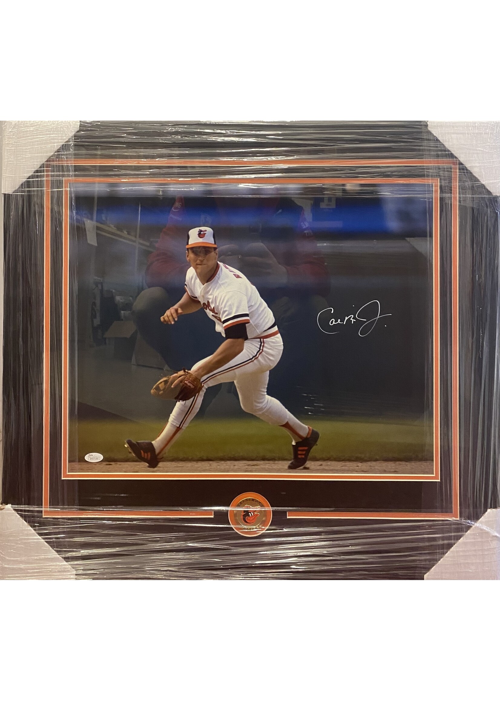 Cal Ripken 16x20 B