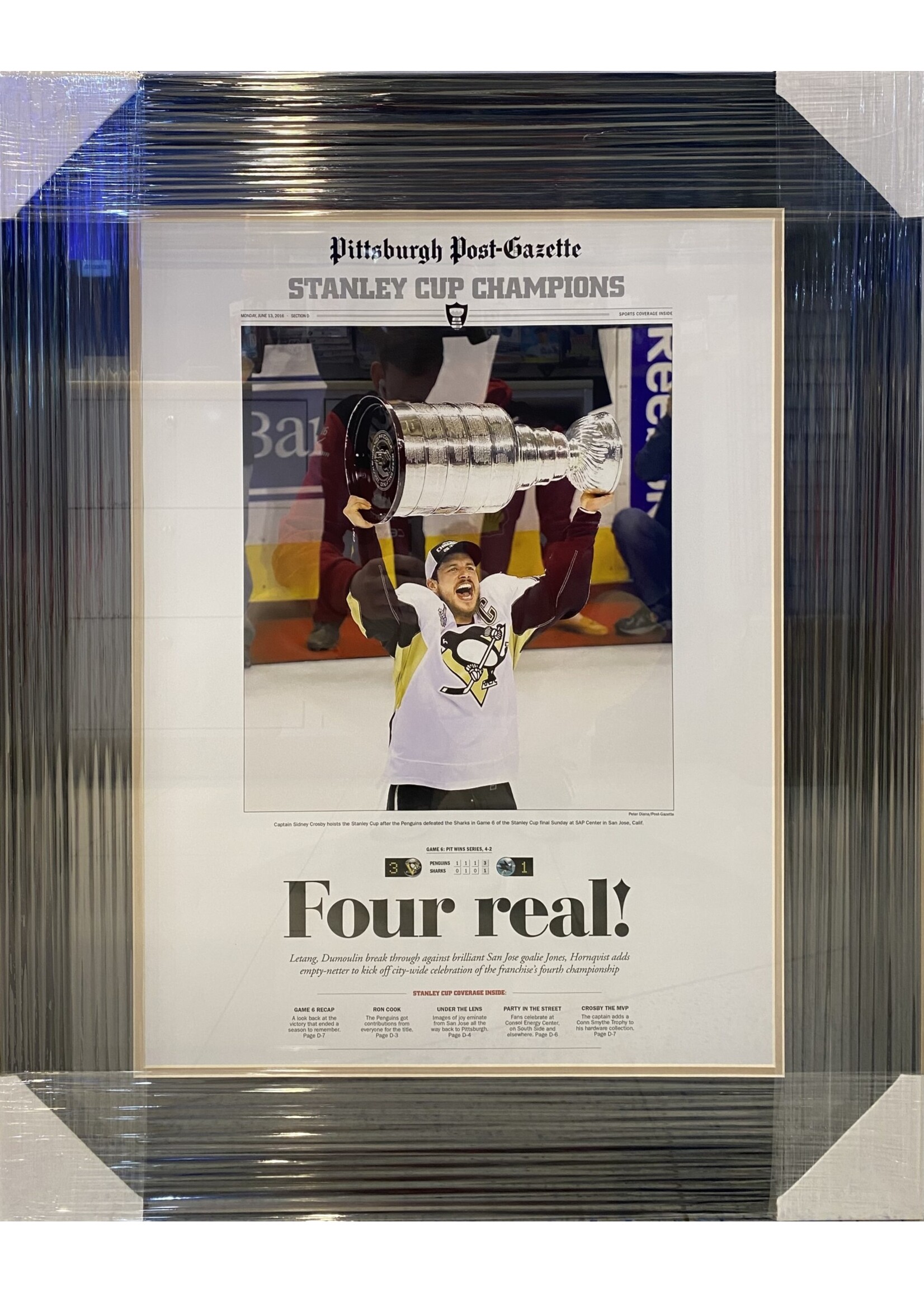 Picture Penguins Newspaper