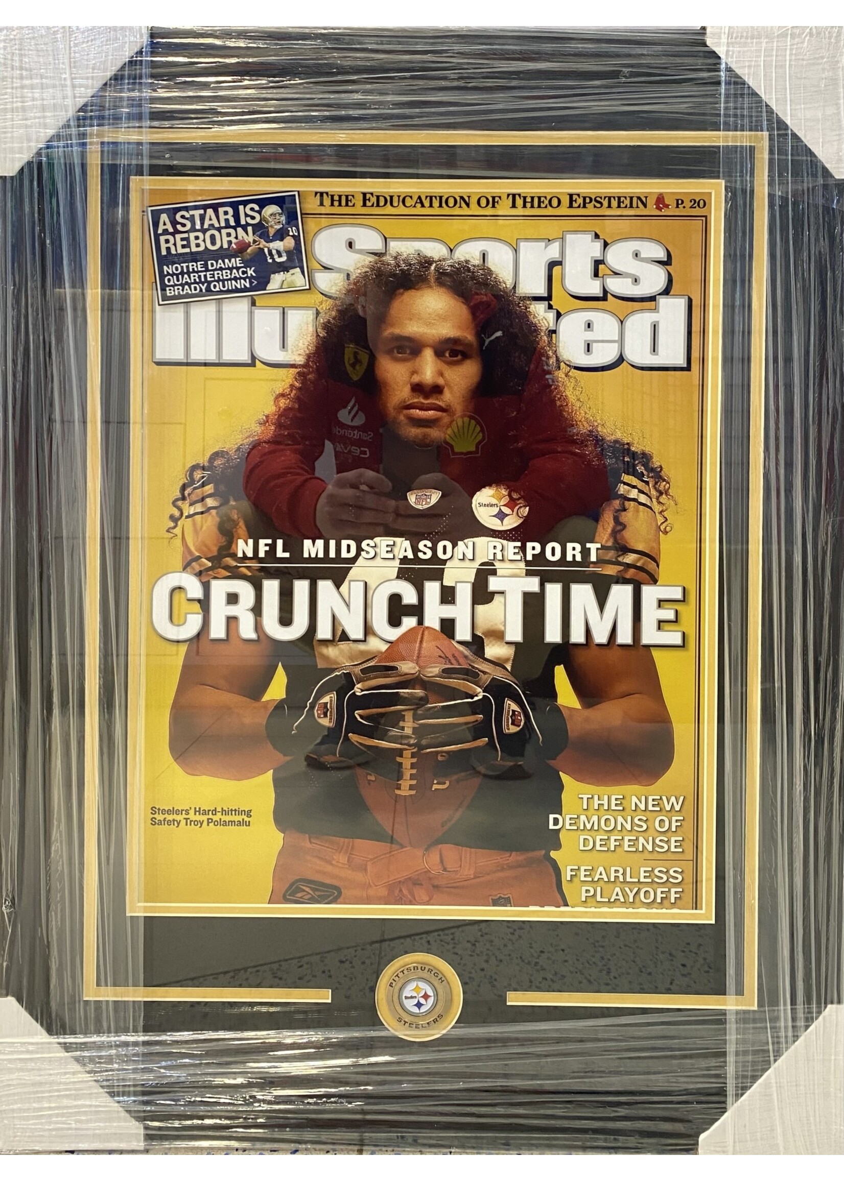 Picture Troy Polamalu 16x20 NS