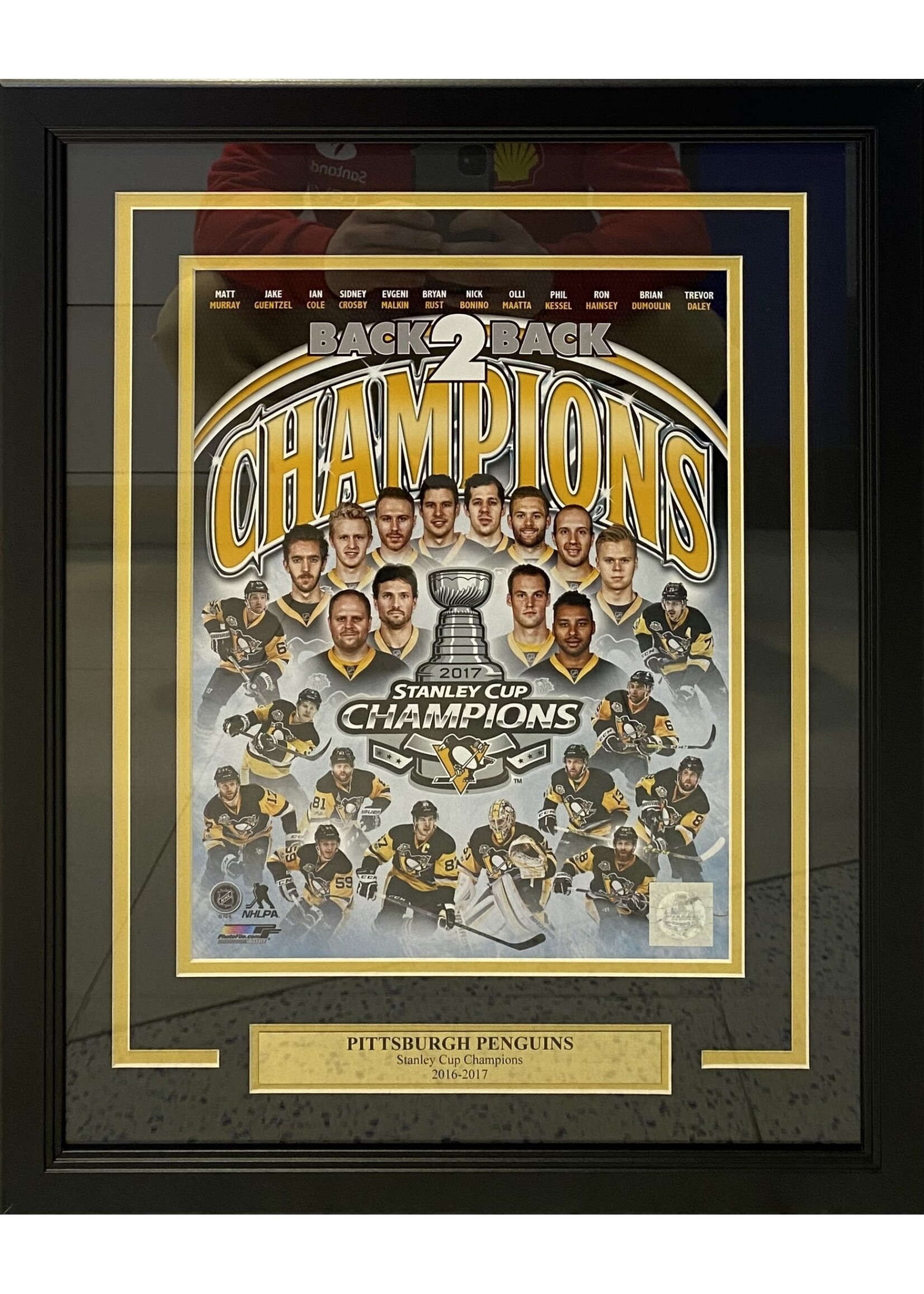 Picture Penguins 2017 Champs Print