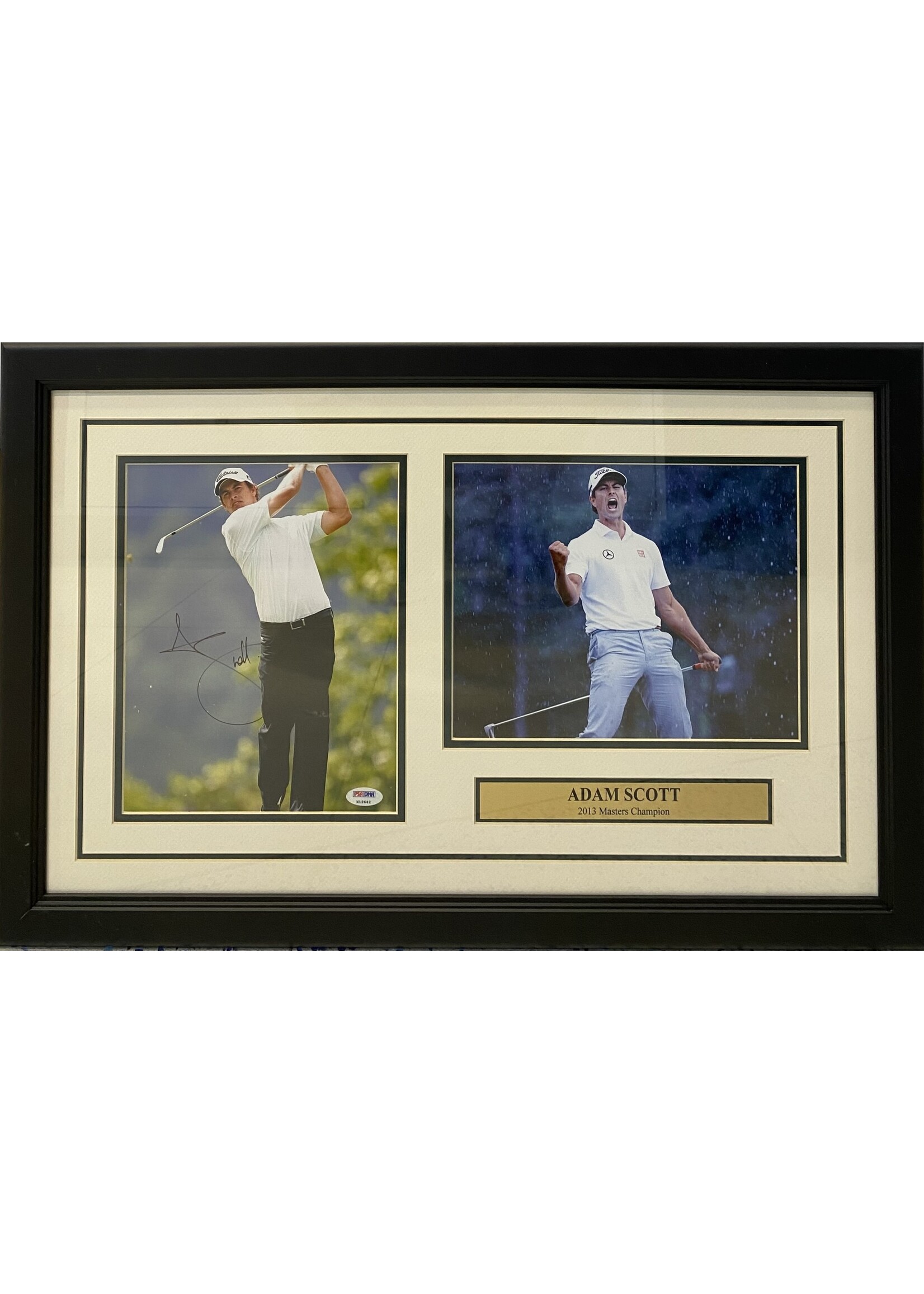 Adam Scott Collage