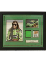 Picture Danica Patrick Collage