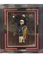 Picture Kirby Smart 16x20