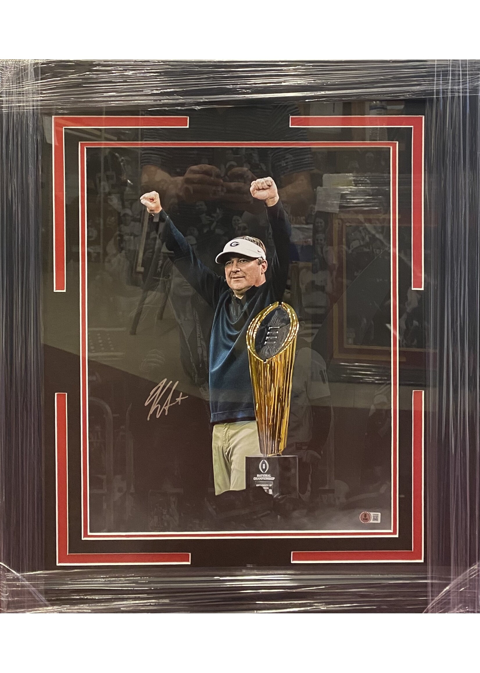 Picture Kirby Smart 16x20