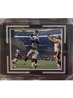 Picture Sean Lee 16x20 B