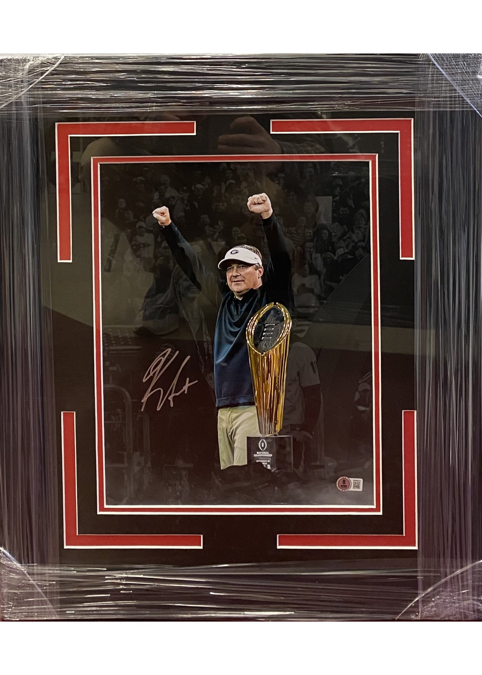 Picture Kirby Smart 11x14