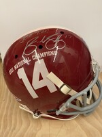 Helmet (Full & Mini) Brad Smelley & Will Lowery Helmet