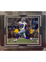 Amari Cooper 16x20