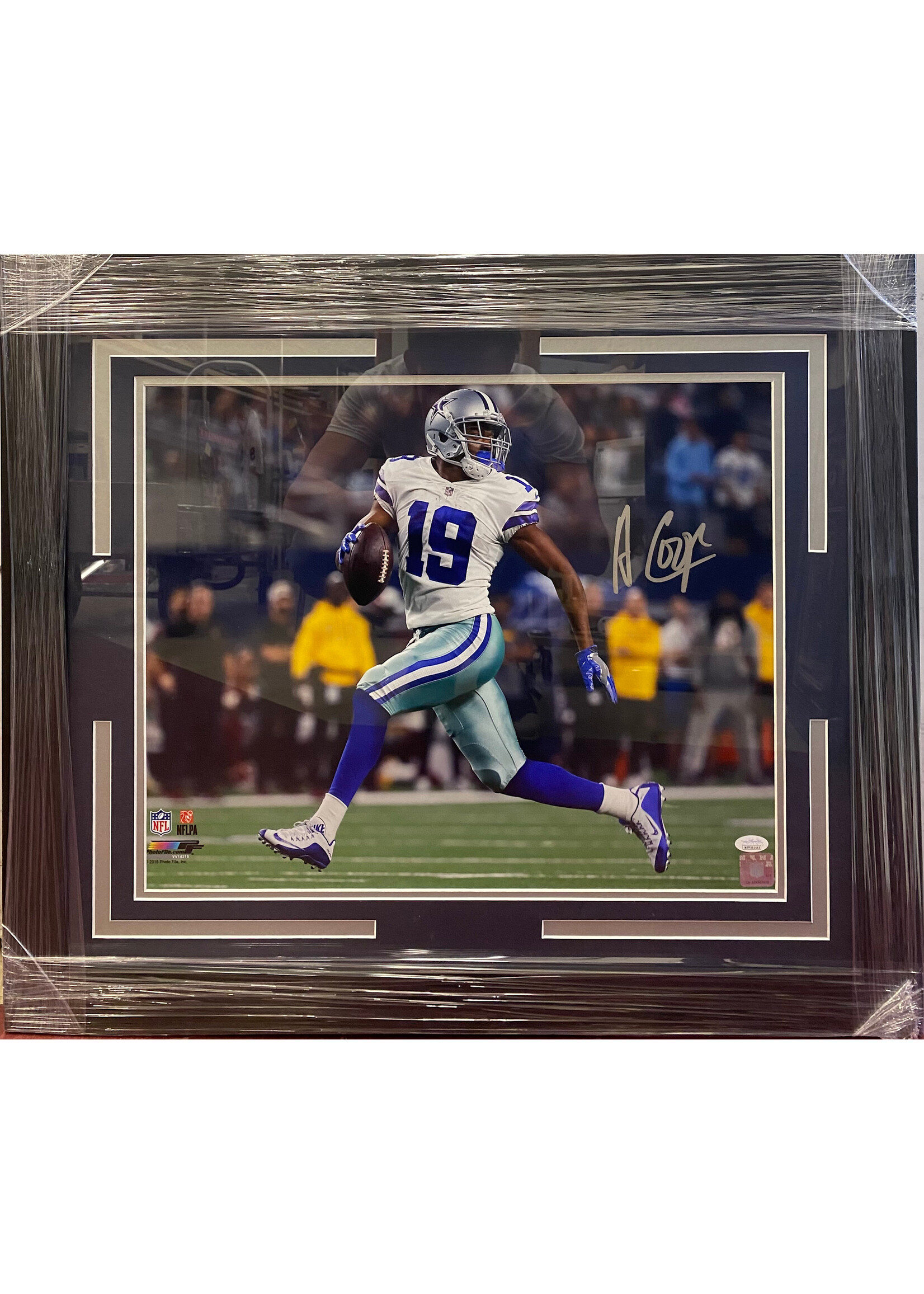 Amari Cooper 16x20