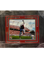 Picture Alshon Jeffery 8x10