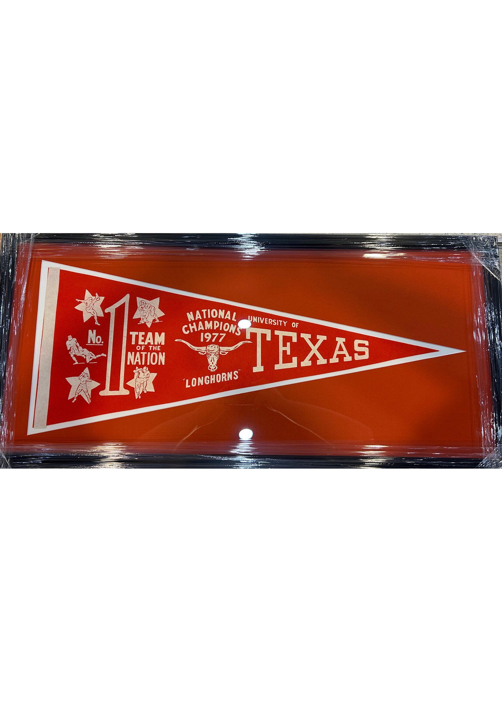 Pennant (F & UF) Texas Longhorn Pennant