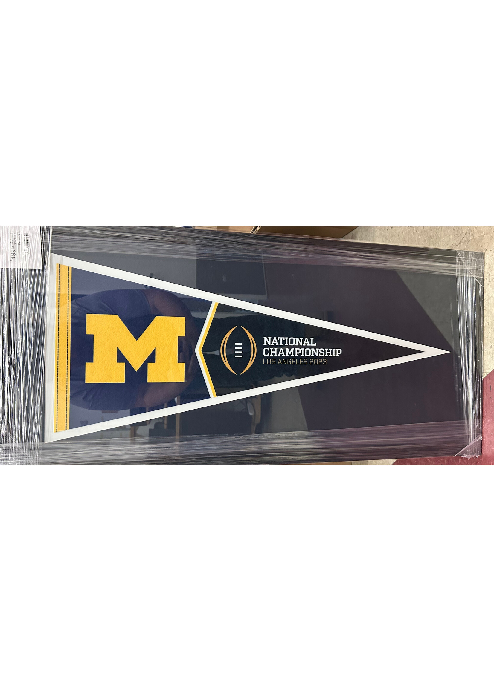 Pennant (F & UF) Michigan 2023 NC Pennant B