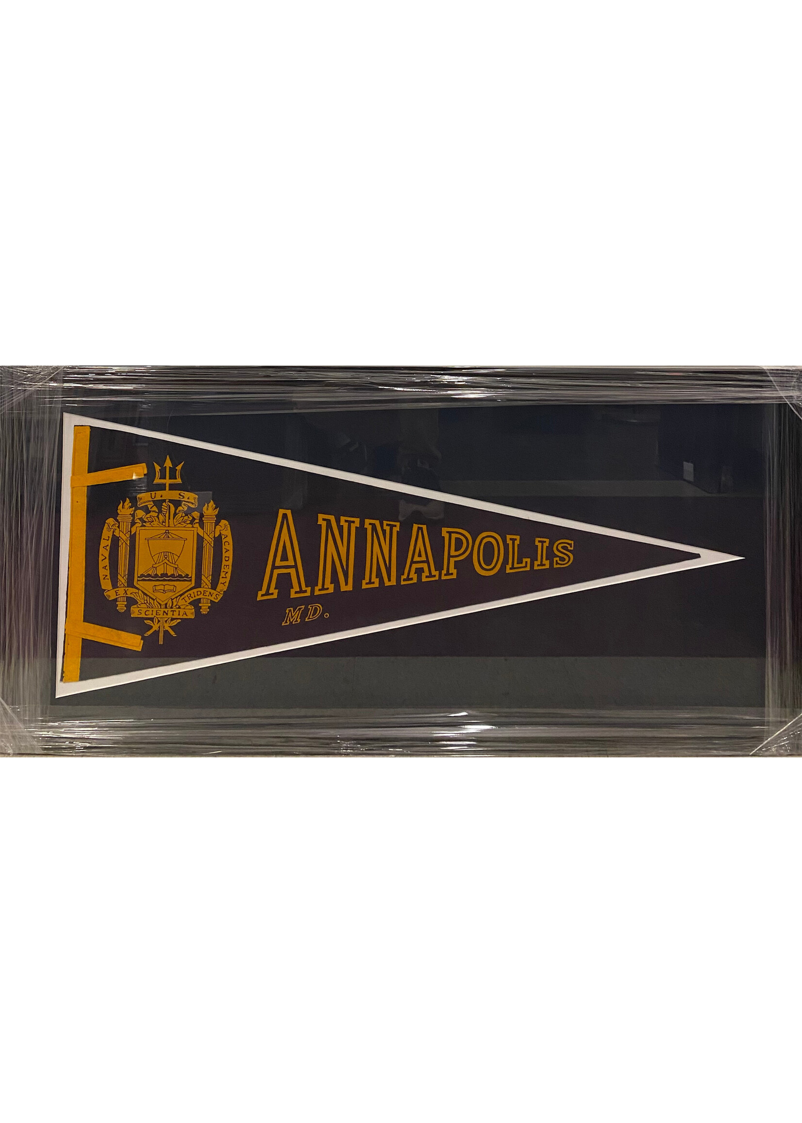 Navy 1960s Annapolis Pennant