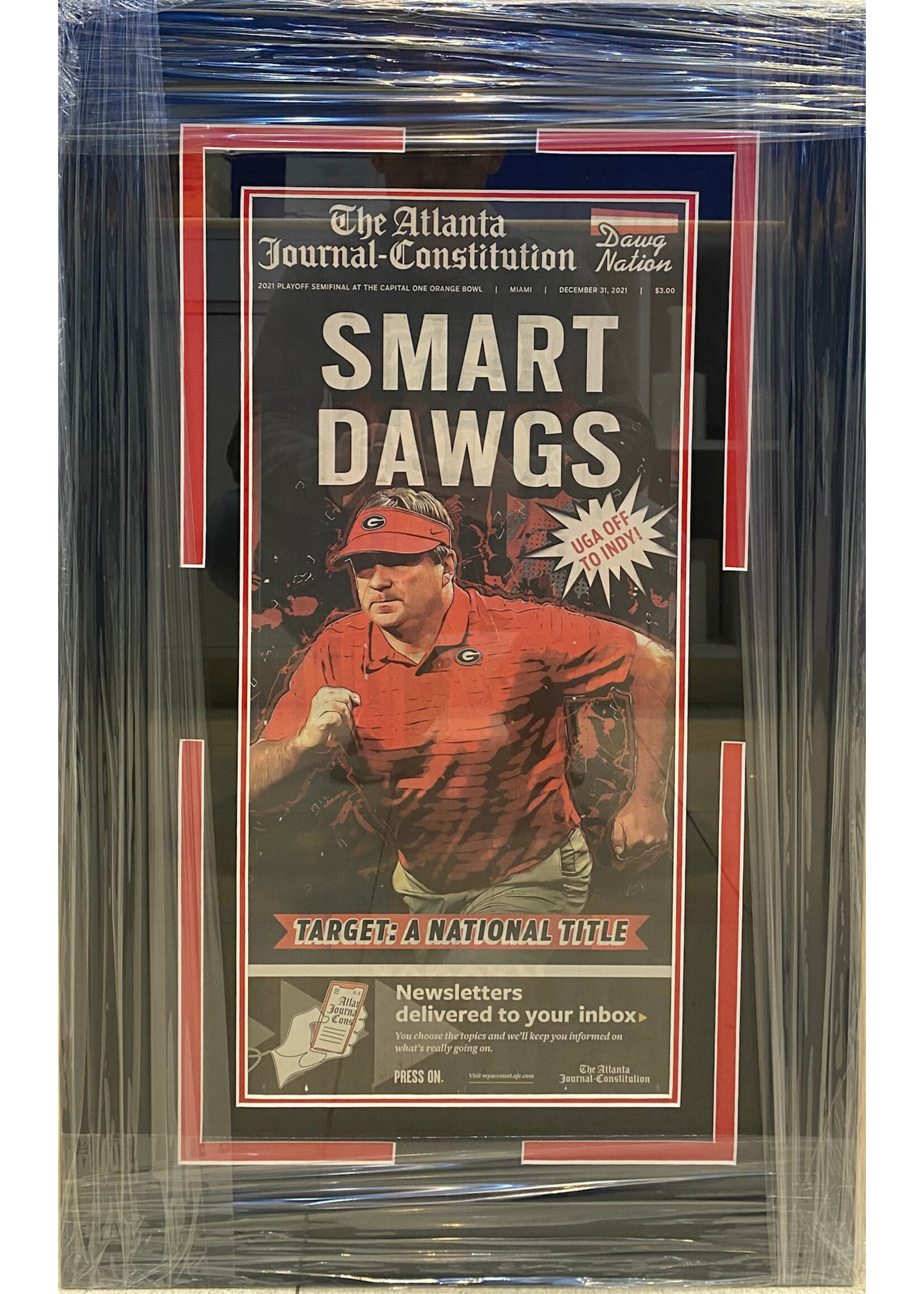 Picture Georgia Smart Dawgs Newspaper