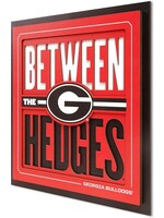 Georgia Slogan 12x12 Wall Art