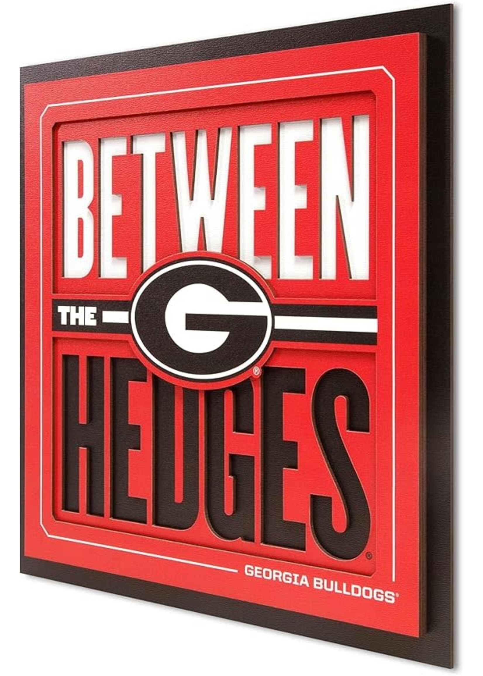 You The Fan Georgia Slogan 12x12 Wall Art