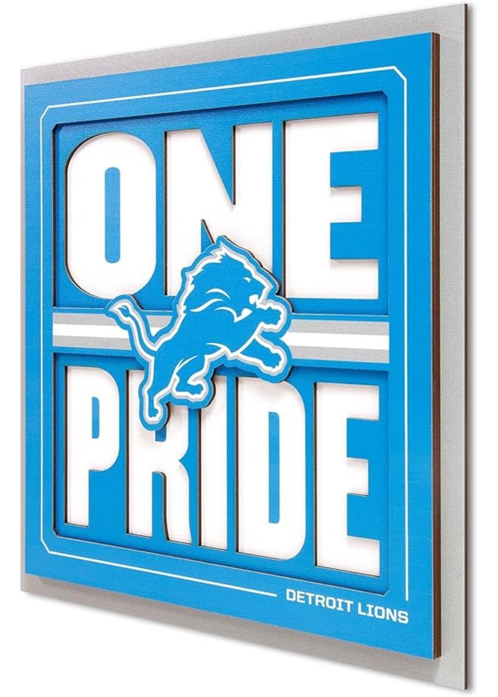 You The Fan Lions Slogan 12x12 Wall Art