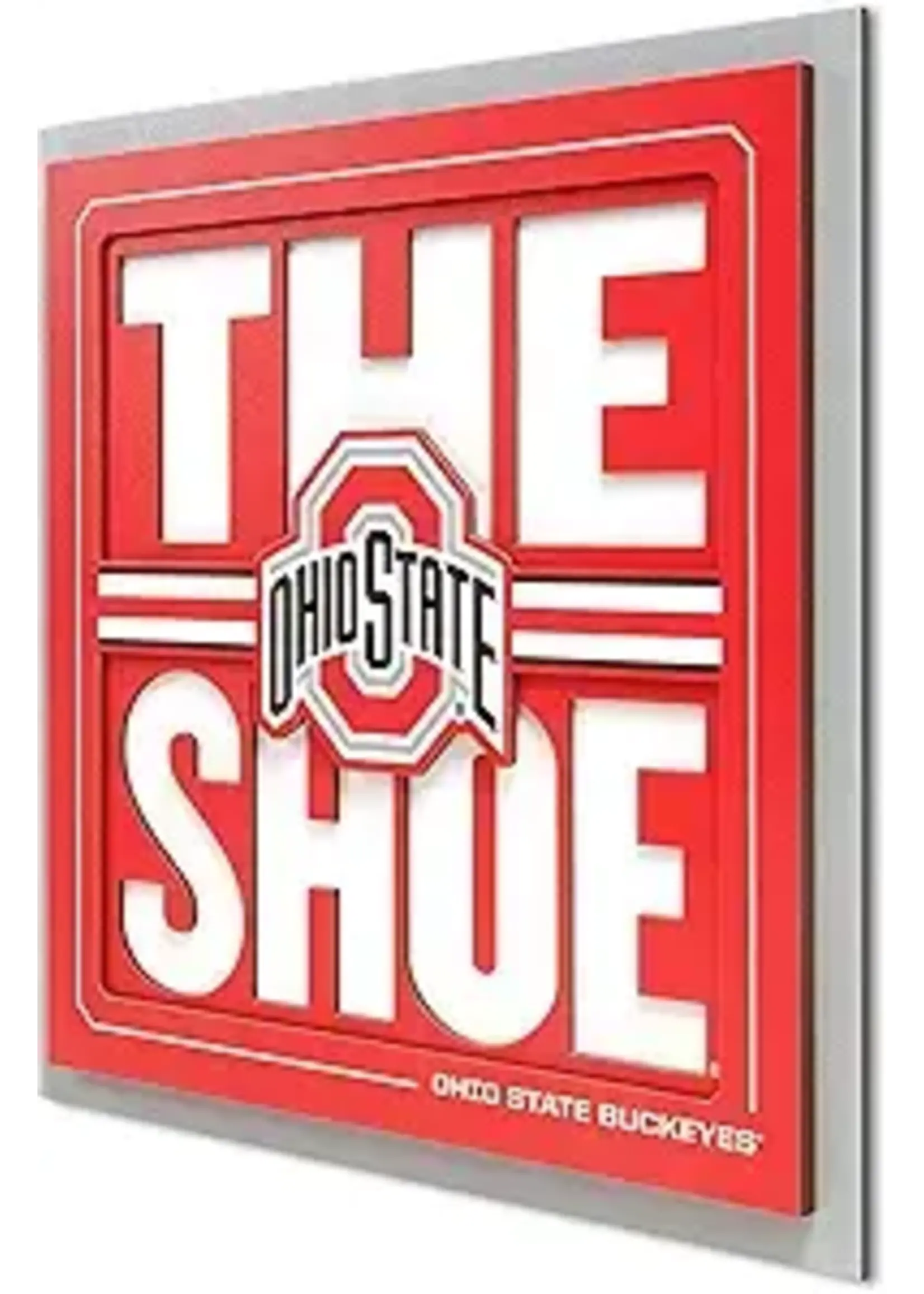 You The Fan Ohio State Slogan 12x12 Wall Art