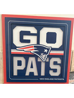You The Fan Patriots Slogan 12x12 Wall Art