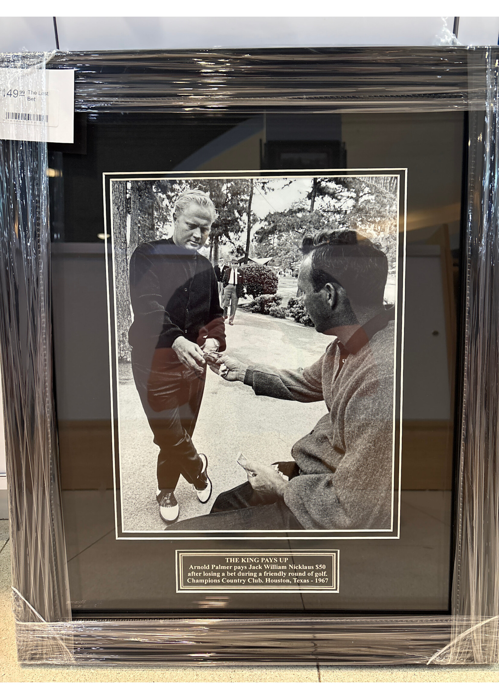 Picture The Lost Bet