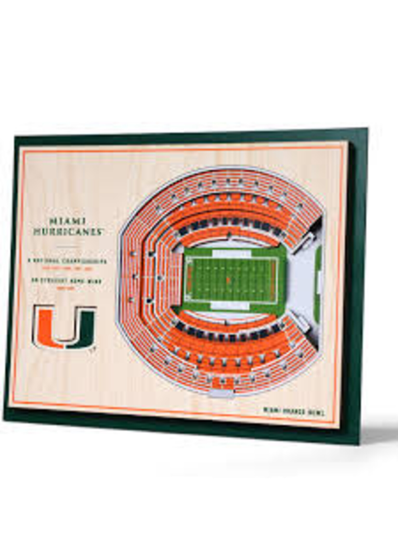 You The Fan Miami 5 Layer Stadium Wall Art