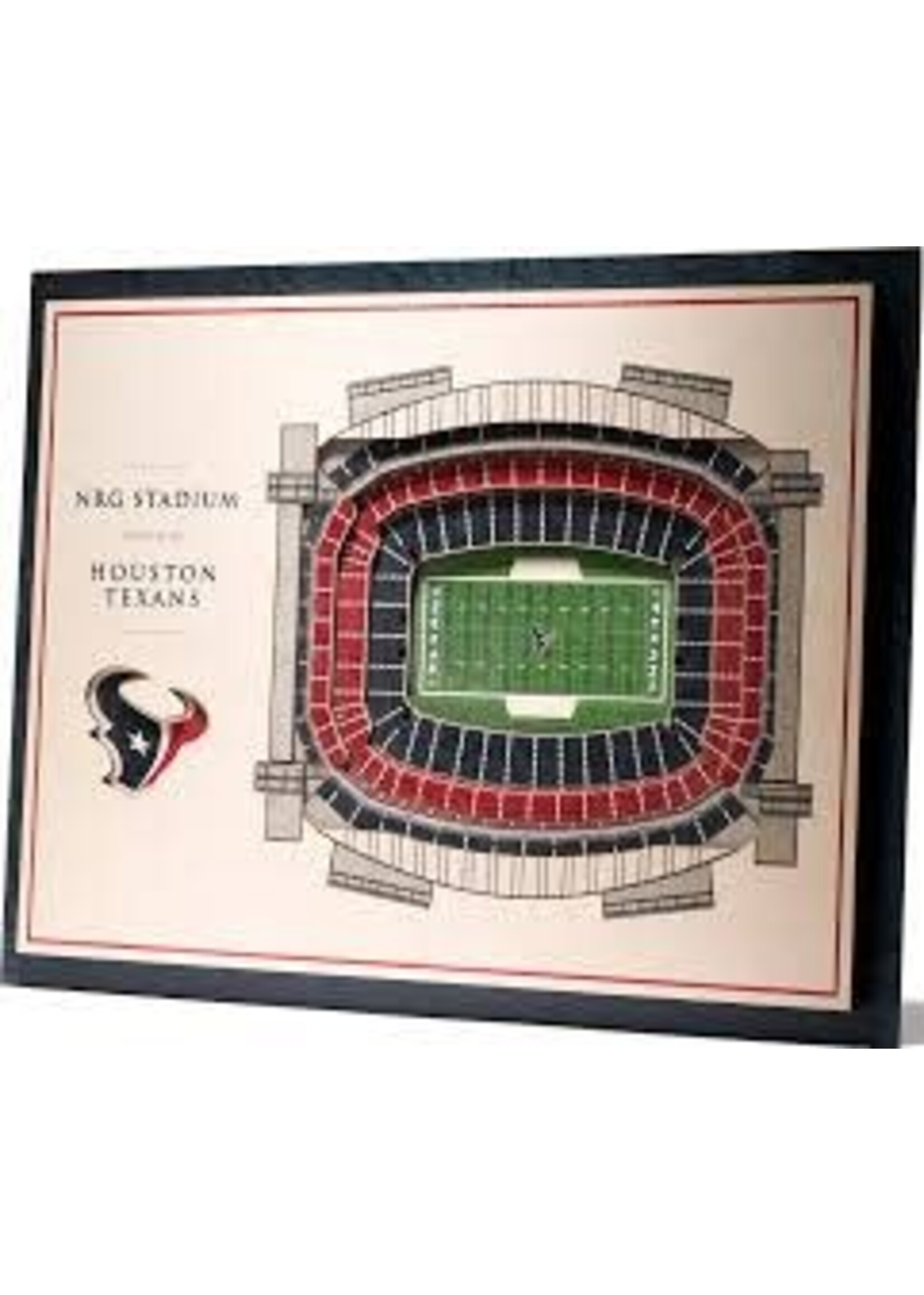 Texans 5 Layer Stadium Wall Art