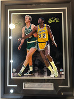 Picture Bird & Magic 16x20