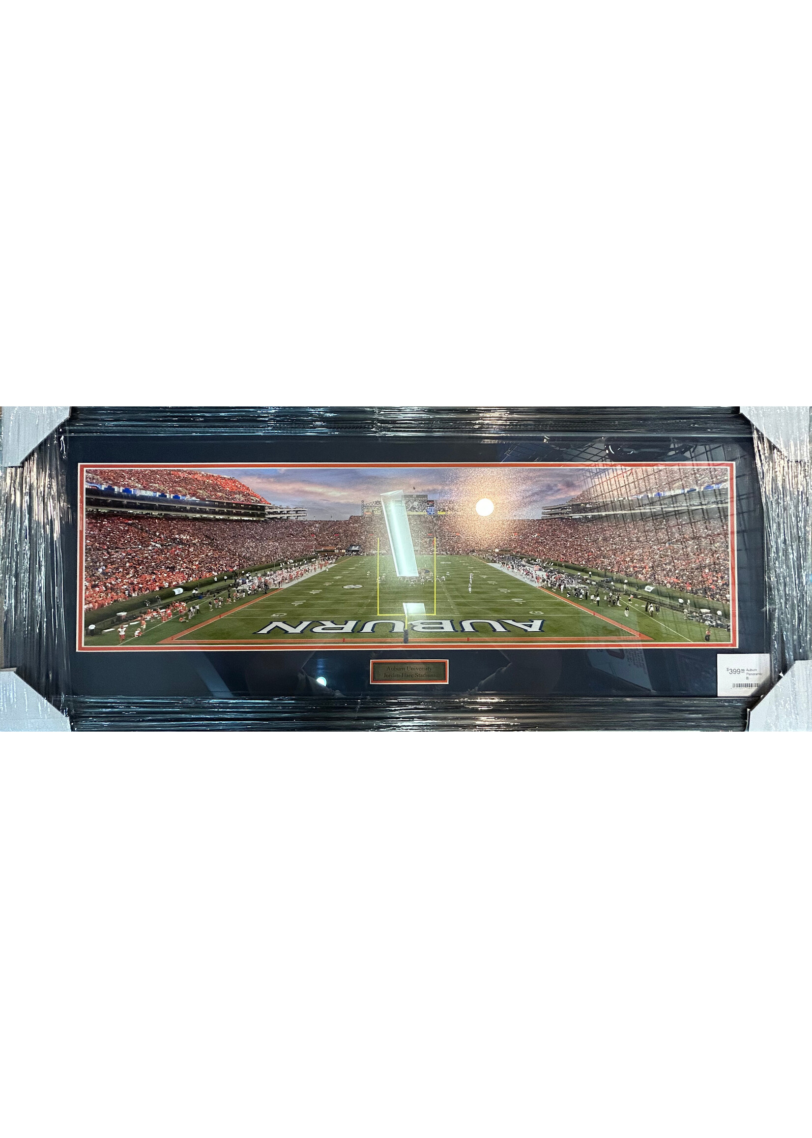 Auburn Panoramic B
