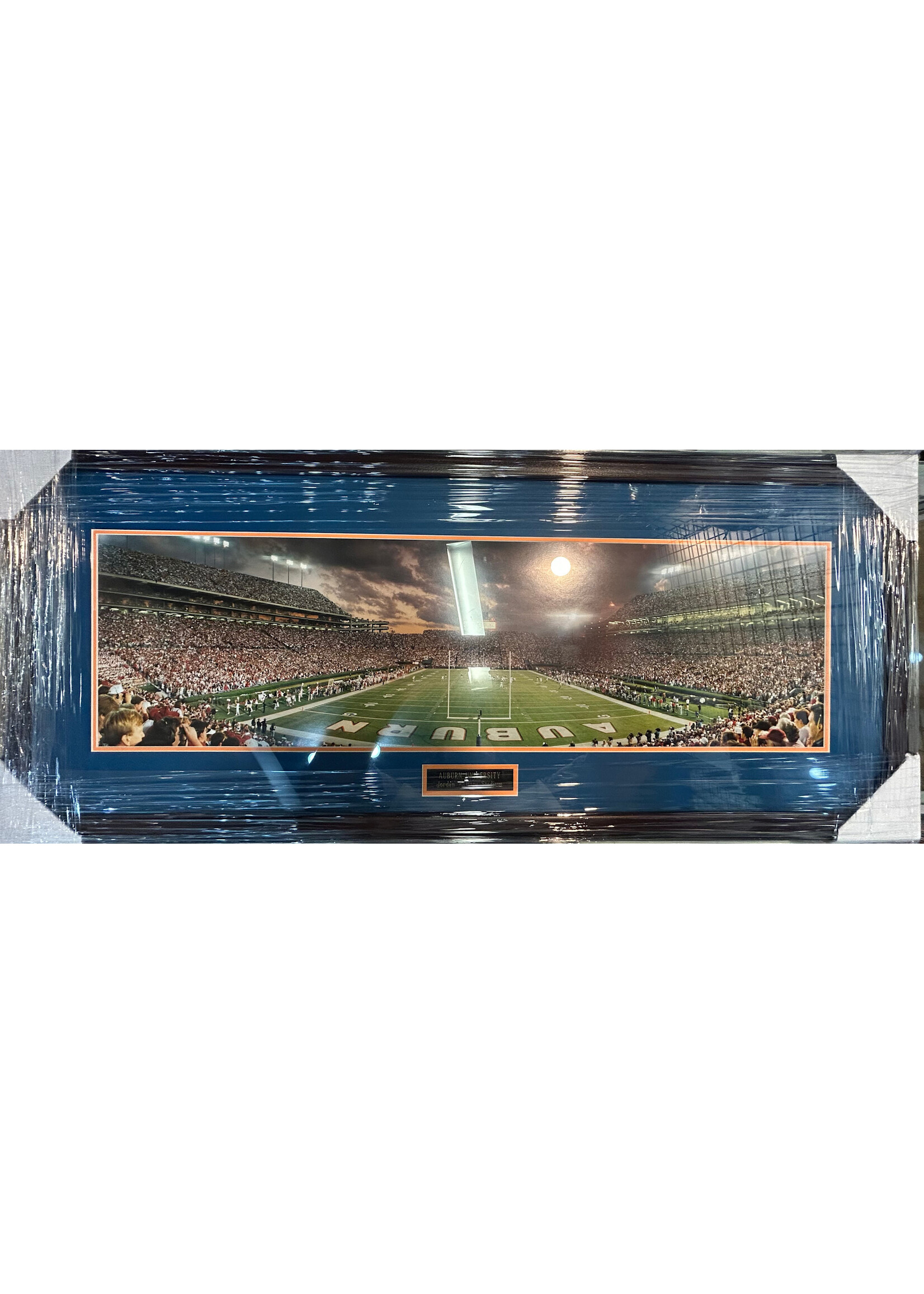 Picture Auburn Panoramic A