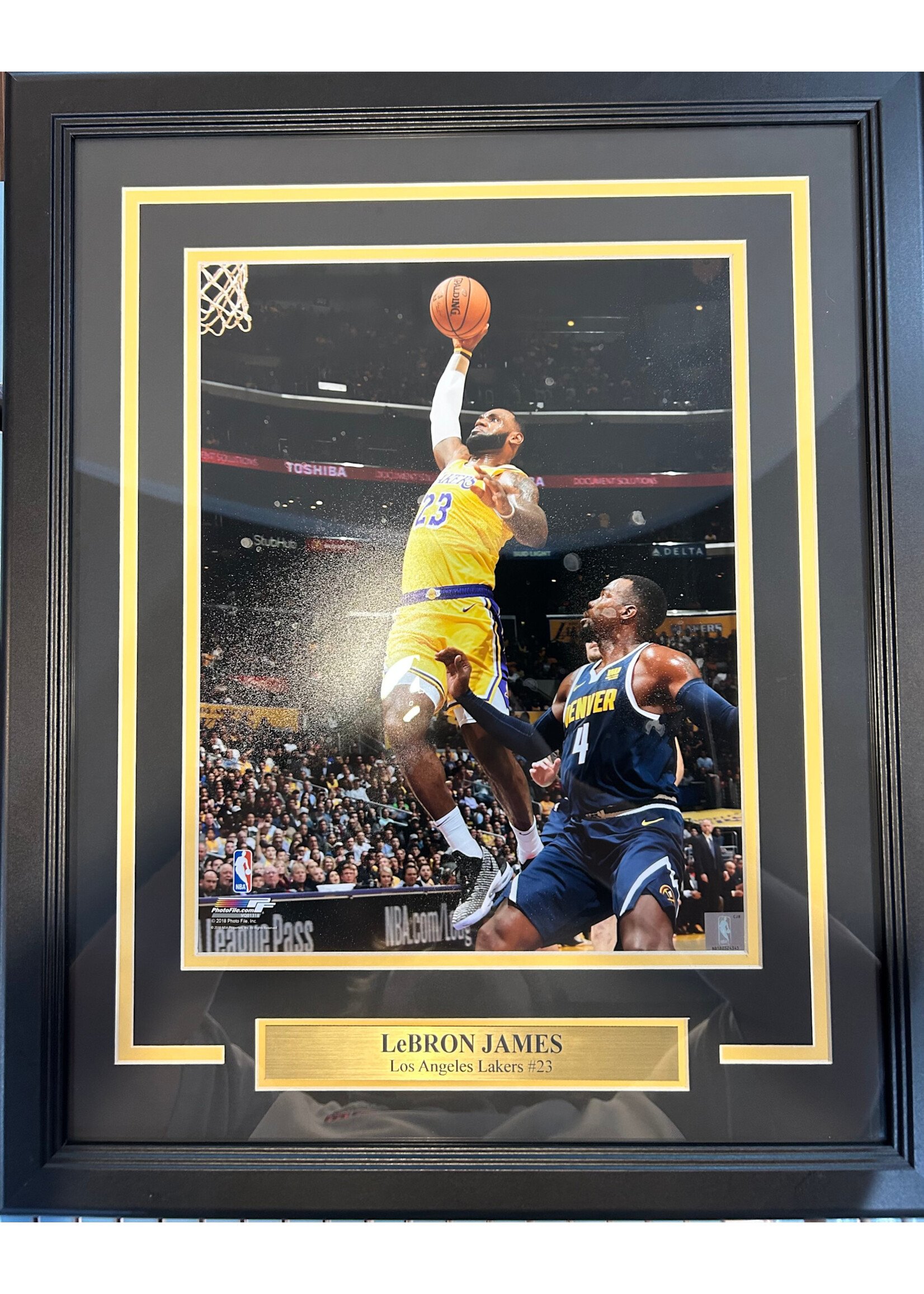 Lebron James 11x14 NS