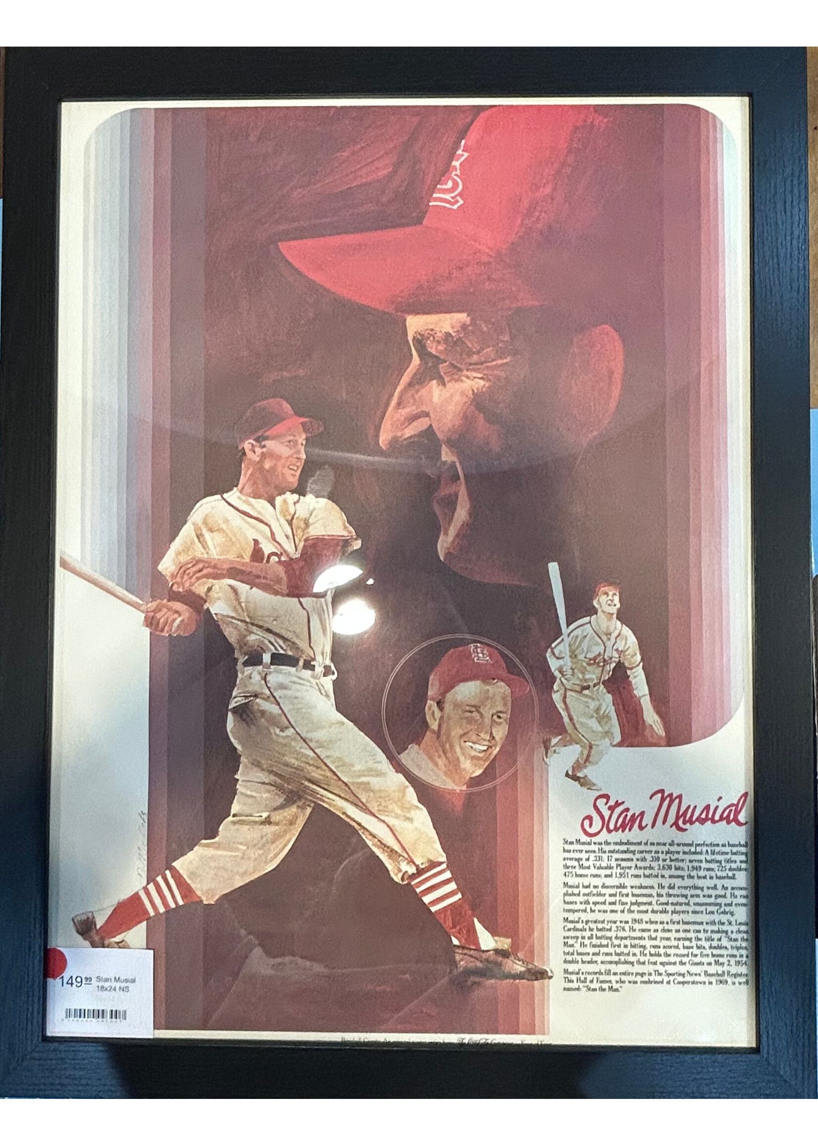 Stan Musial 18x24 NS