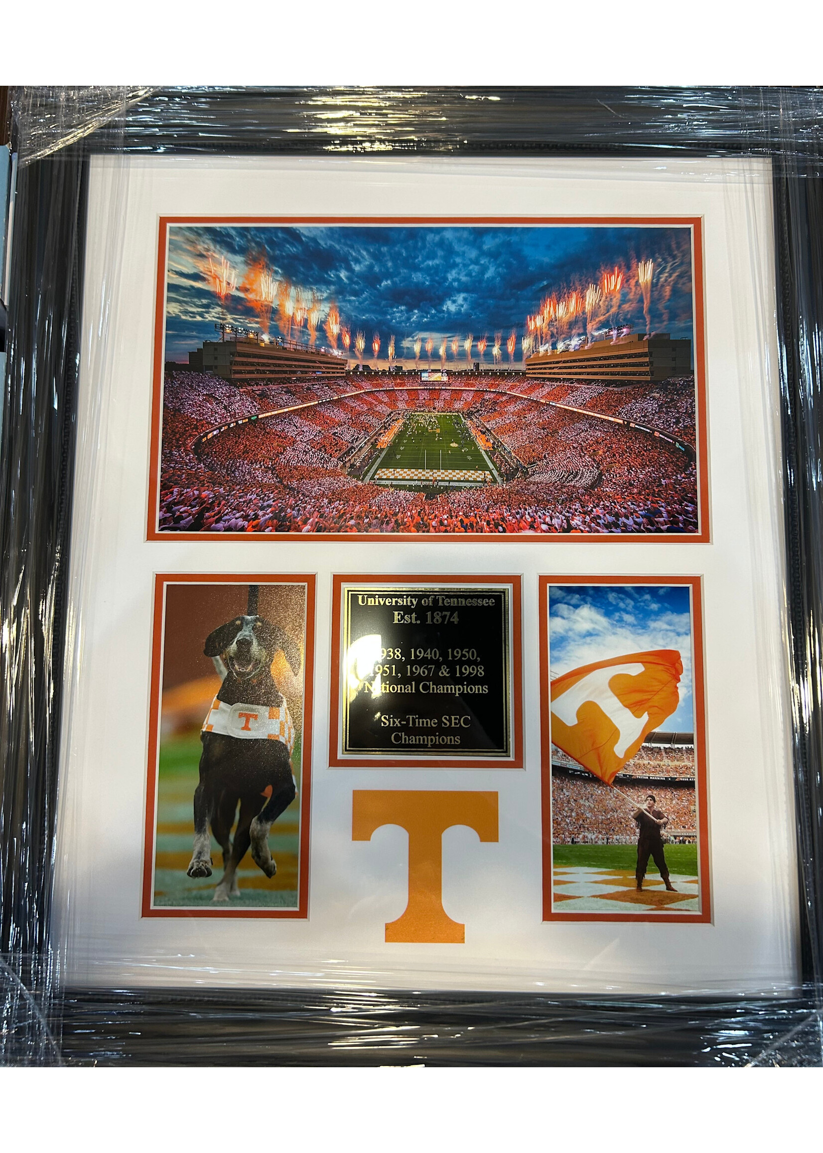 Picture Tennessee Collage