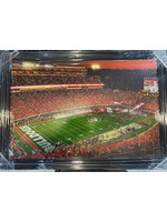 Picture Georgia Stadium Canvas