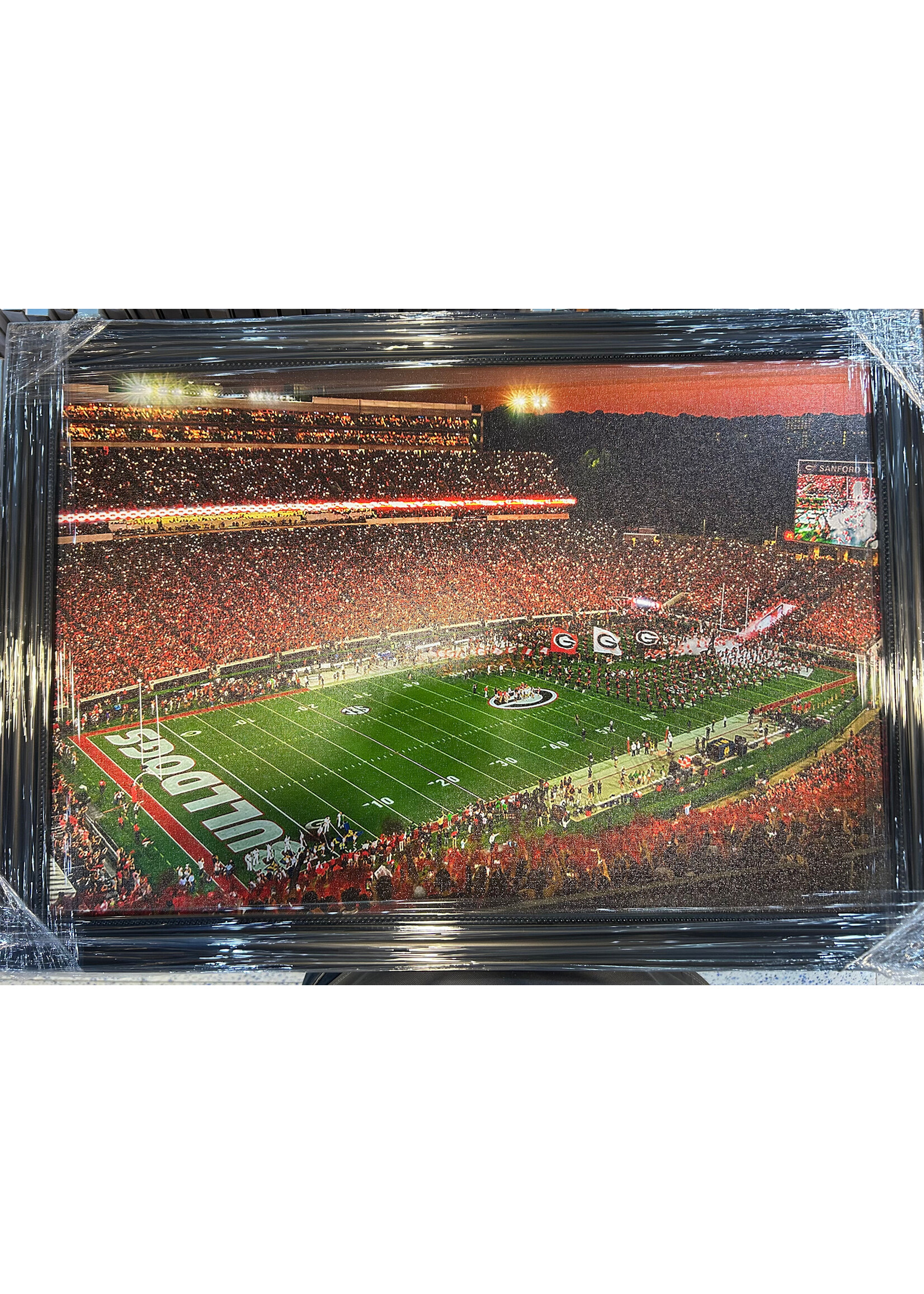 Picture Georgia Stadium Canvas
