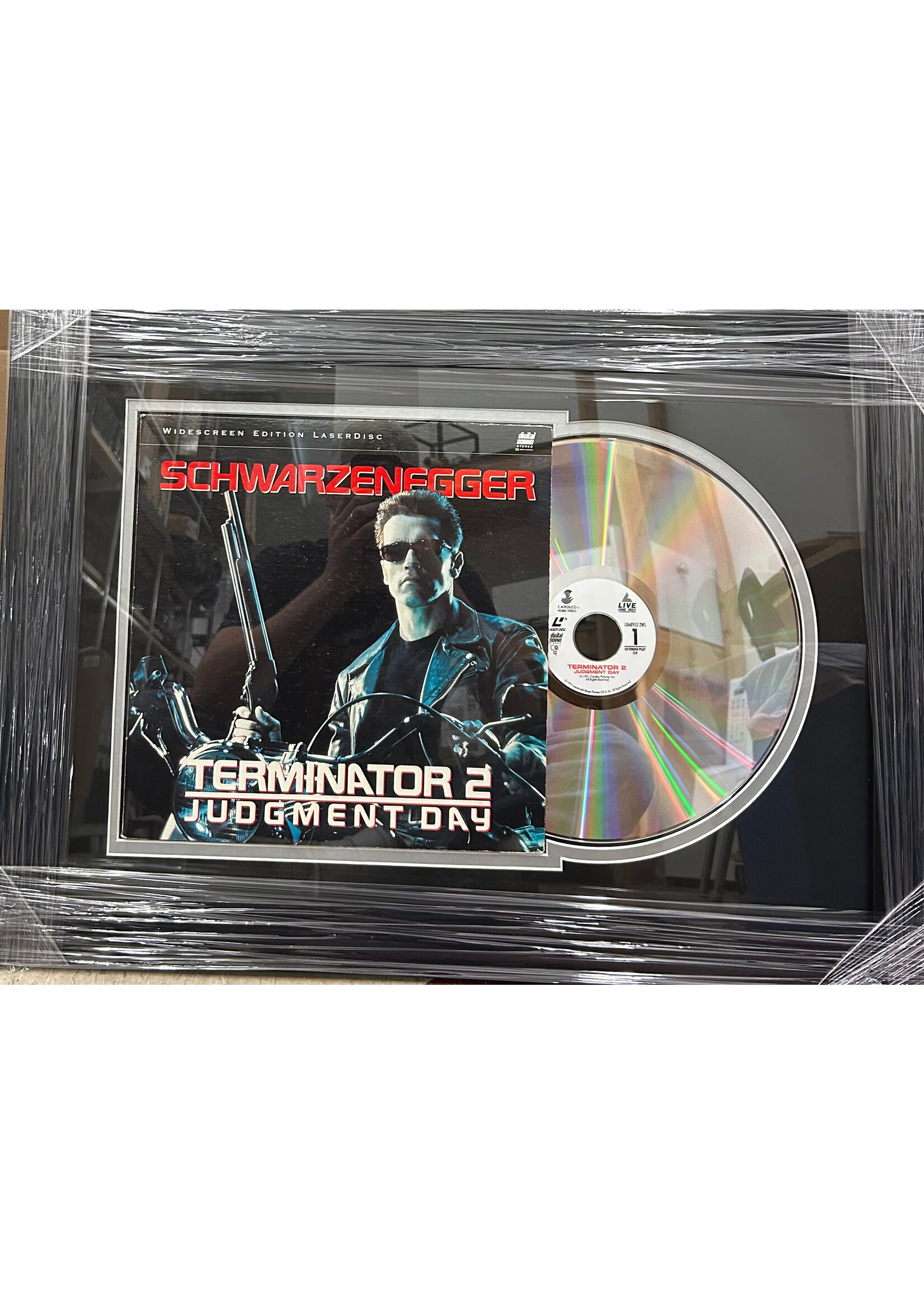 Terminator 2 Laser Disc