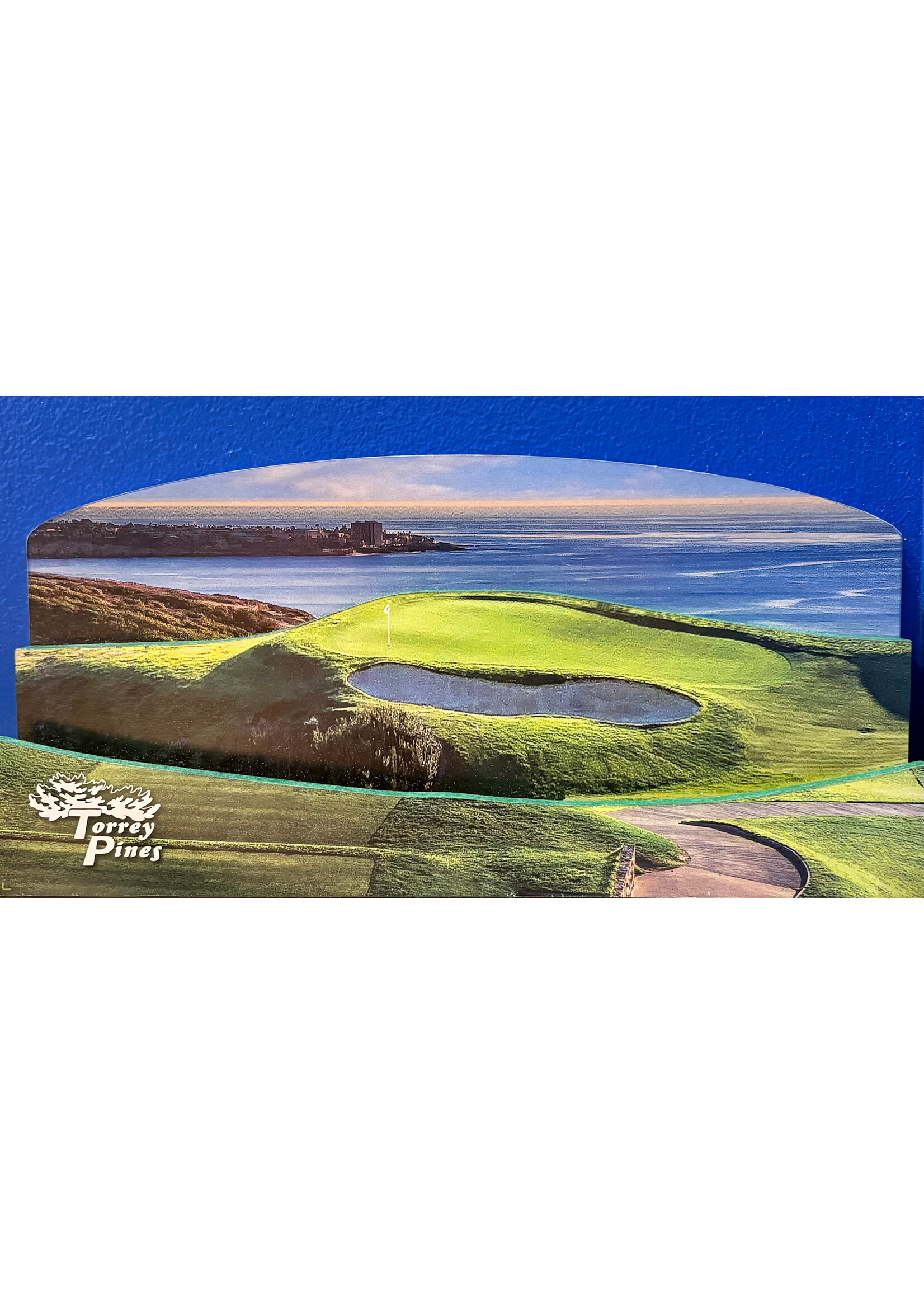 Collectible Torrey Pines South #3 LED