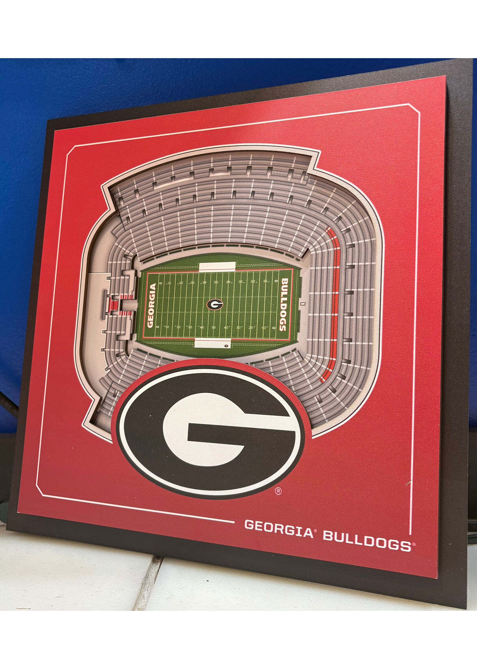 You The Fan Georgia 3 Layer Stadium