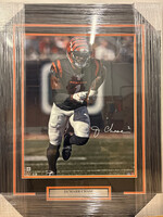 Ja'Marr Chase 16x20
