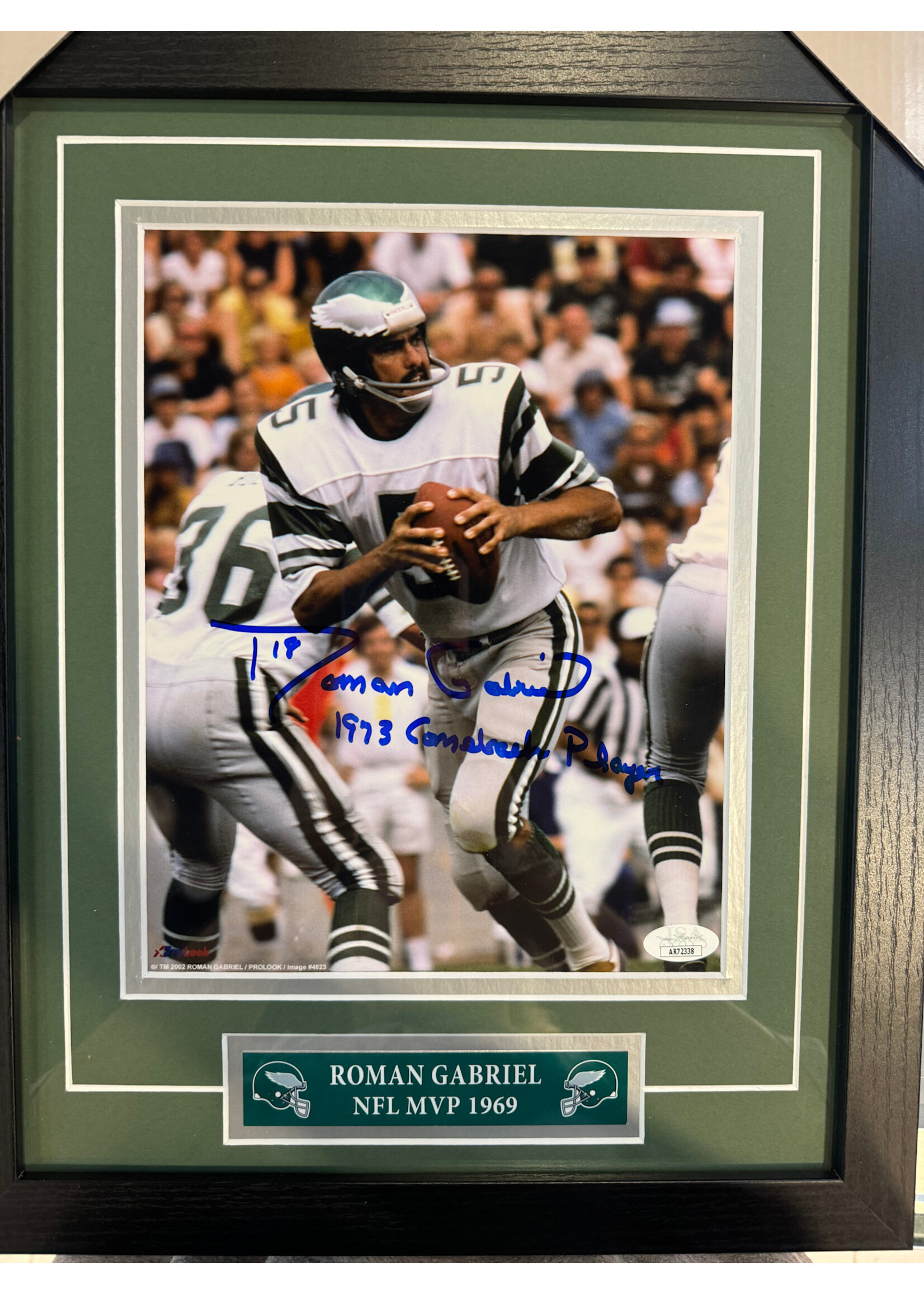 Picture Roman Gabriel 8x10