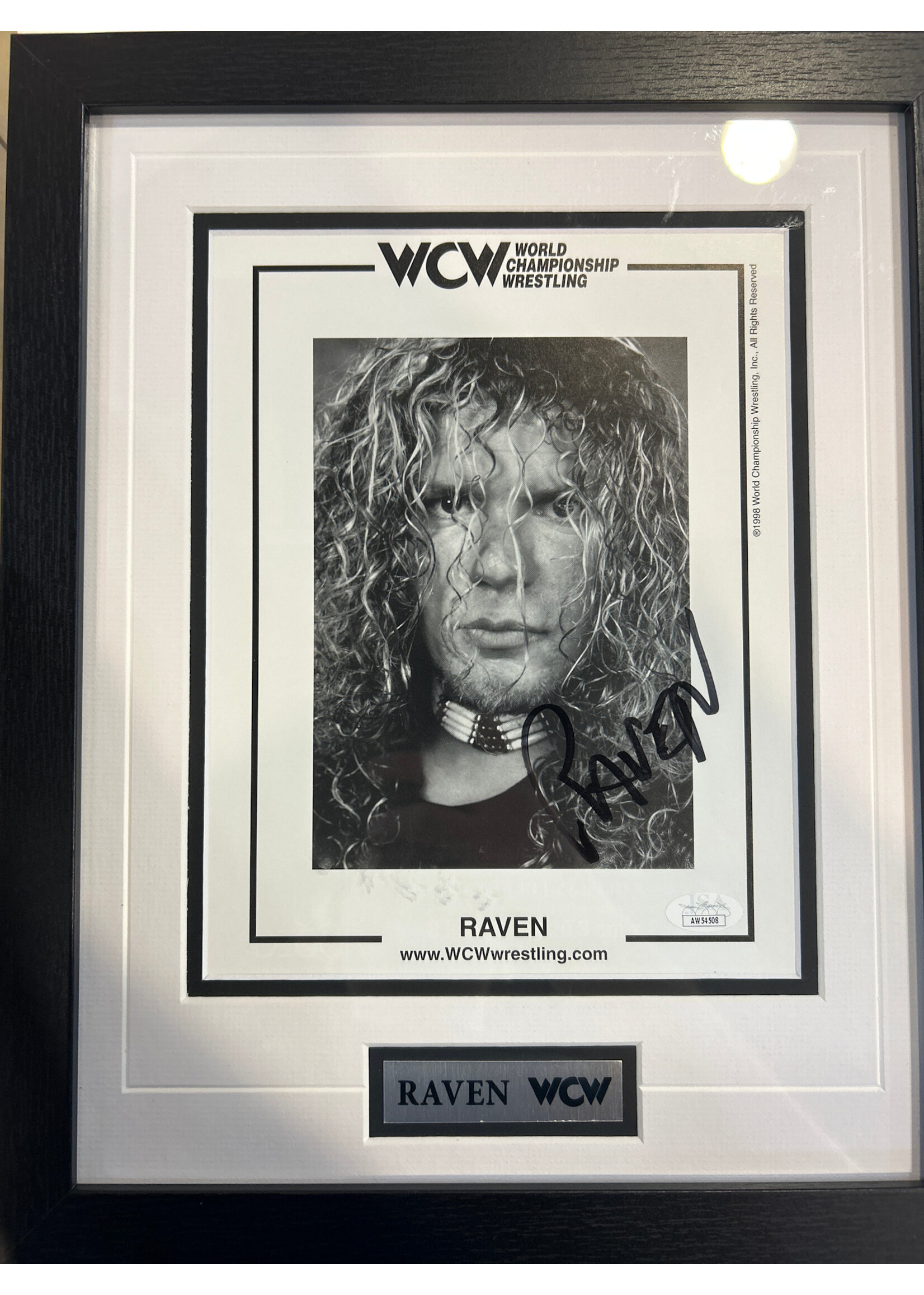 Raven 8x10